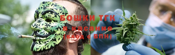 гашик Белоозёрский
