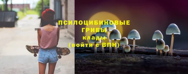 гашик Белоозёрский