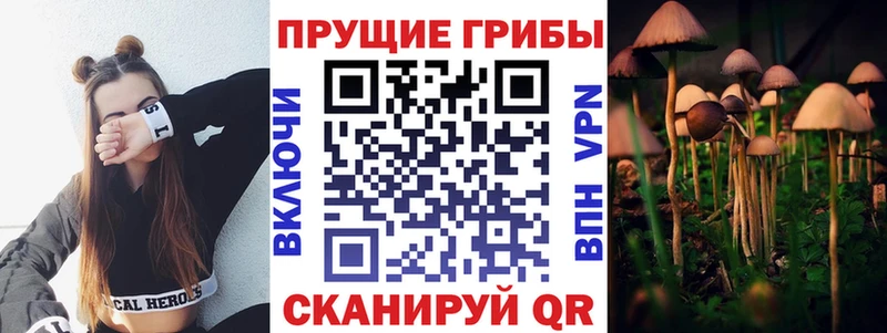 KRAKEN как войти  Южа  Псилоцибиновые грибы Magic Shrooms 